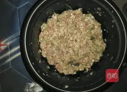 Cabbage and Pork Dumplings Illustration of how to do it 5