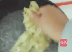 Illustration of how to make sweet potato flour noodles 7