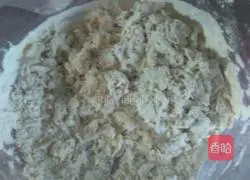 Illustration of how to make cabbage and pork dumplings 2