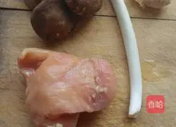 Illustration of how to make wontons with mushrooms and chicken 1