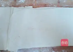 Mixed vegetable and egg filling Illustration of how to make dumplings 14