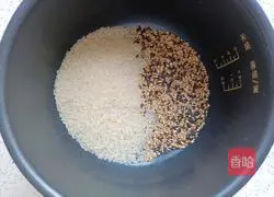 Illustration of how to make multigrain rice sushi rolls 2