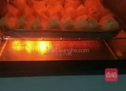 Illustration of grilled dumplings 6