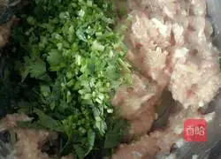 Illustration of how to make small wontons stuffed with pork and coriander 2