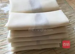 Spring Roll Recipe 10