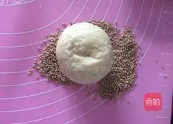 Illustration of how to make poolish (Polish) hamburger embryos 9