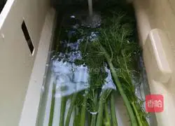 Illustration of how to make fennel dumplings 2