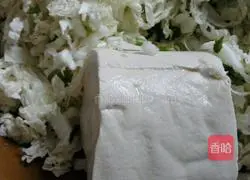 Illustration of how to make pot stickers 2