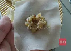 Illustration of how to make mushroom and chicken wontons 5