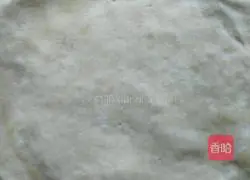 Spring roll recipe illustration 1