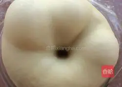 Illustration of how to make poolish (Polish) hamburger embryos 7