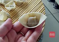 Illustration of how to make mushroom and chicken wontons 8