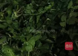 Illustration of how to make shepherd's purse and meat wontons 1