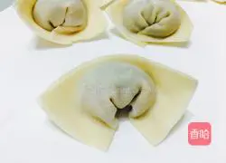 Illustration of how to make mustard and pork wontons 9