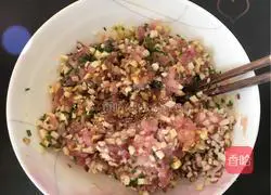 Spring Roll Recipe 4