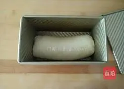 Handmade Bread Illustration 10