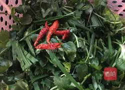 Illustrated 2 of the recipe for stir-frying cilantro with chives