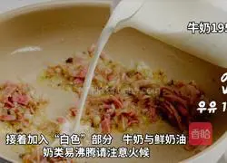 Canadian Arctic Shrimp Three-color Cream Risotto Illustration 6