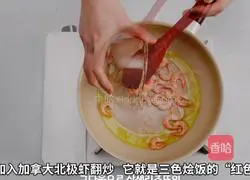 Canadian Arctic Shrimp Tricolor Cream Risotto Illustration 5